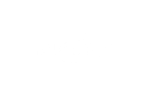 VIBENT